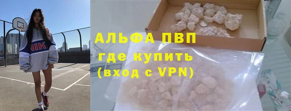 прущие грибы Беломорск