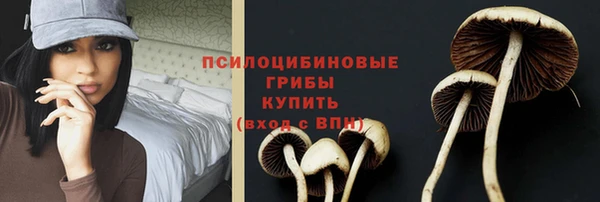 ПСИЛОЦИБИНОВЫЕ ГРИБЫ Белокуриха