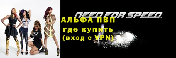 прущие грибы Беломорск