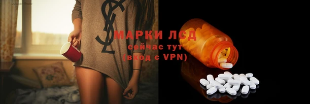 прущие грибы Беломорск
