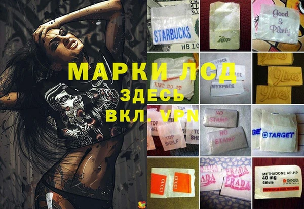 прущие грибы Беломорск
