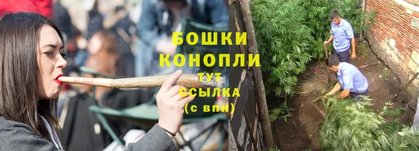 прущие грибы Беломорск