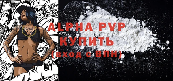 прущие грибы Беломорск