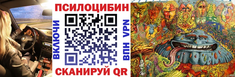 где продают Верхняя Пышма Псилоцибиновые грибы Psilocybe