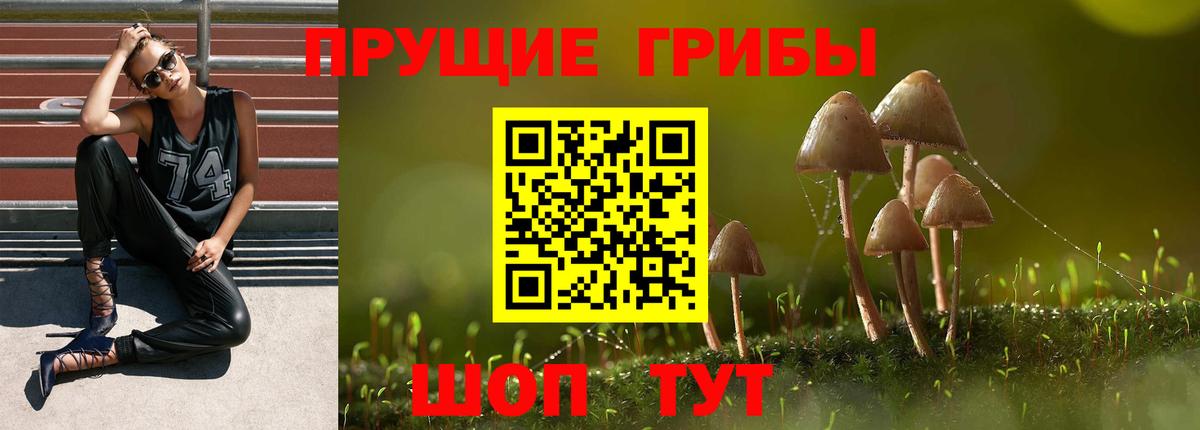Псилоцибиновые грибы Psilocybe  Вход с VPN  Верхняя Пышма 